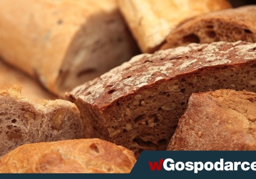 Pieczywo pełnoziarniste, czy na zakwasie?