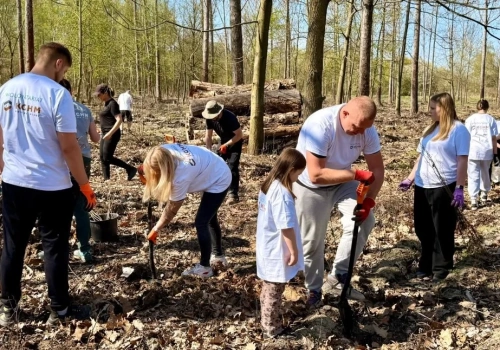 Wolontariusze KGHM zasadzili kolejne tysiące drzew przy Hucie Miedzi Głogów