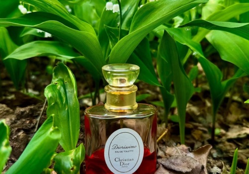 Konwaliowe perfumy to maj we flakonie. Jedne z nich Notino wyprzedaje taniej o 64 procent