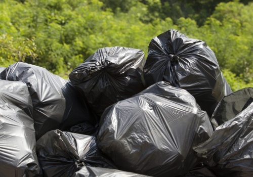 Akcja sprzątania tzw. carskiej drogi w Biebrzańskim Parku Narodowym