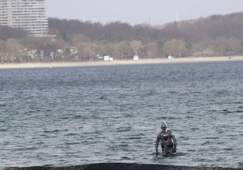 Ruszyli z dna humbaka uwięzionego na Bałtyku. 