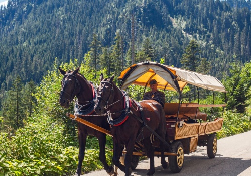 Majówka bez zmian na trasie do Morskiego Oka. Zostają bryczkami konne