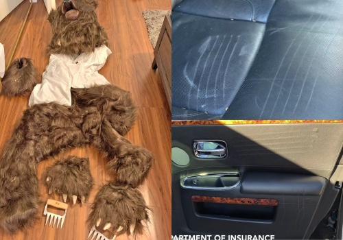 USA: trzech gości zostało skazanych za przebieranie się za niedźwiedzia, atakowanie aut i wyłudzanie ubezpieczenia