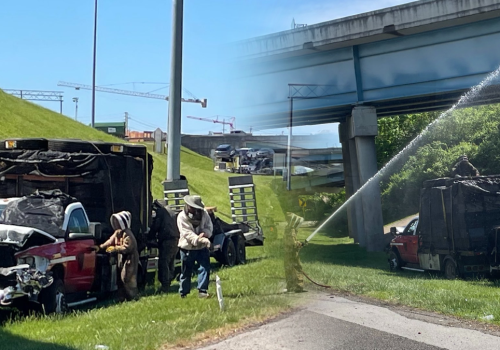 Przewozili pszczoły, kiedy rozbiła się ciężarówka. Milion owadów sparaliżował o autostradę