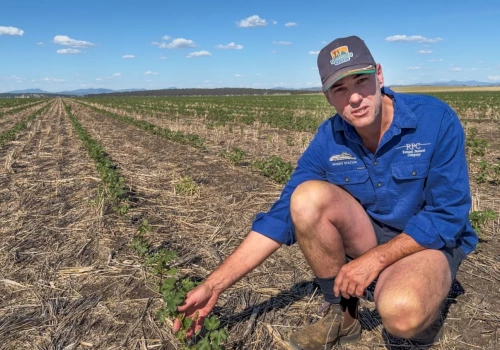 Australia: rok bez uprawy, by zgromadzić wodę – jak oni to robią?