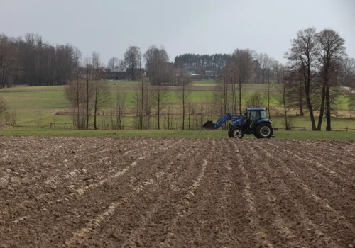 Oddałeś ziemię synowi? Wierzyciel może ją odzyskać