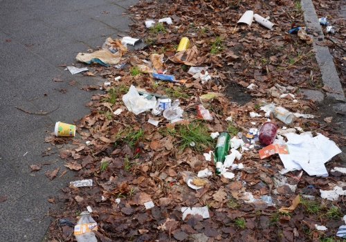 Mandaty do 350 euro. Berlin walczy z zaśmieceniem i wprowadza nowy system nagród