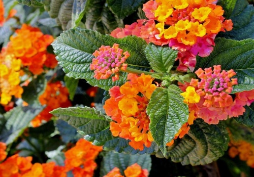 Zapomnij o surfiniach. W tym roku postaw na 