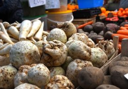 150 ton selera zalega w chłodni. 