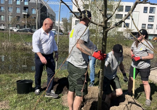 Posadzili już 5000 drzew w ramach „WROśnij we WROcław”