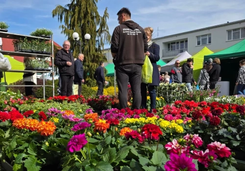 Siedlce. Trwa „Wiosna na polu i w ogrodzie”. Targi MODR przyciągają mieszkańców od rana