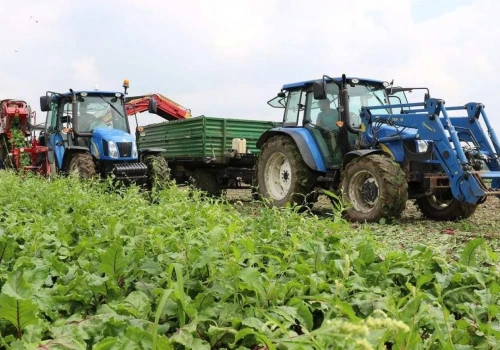 Pracowników z Ukrainy coraz trudniej ściągnąć. Gospodarstwa szykują się na wyższe stawki
