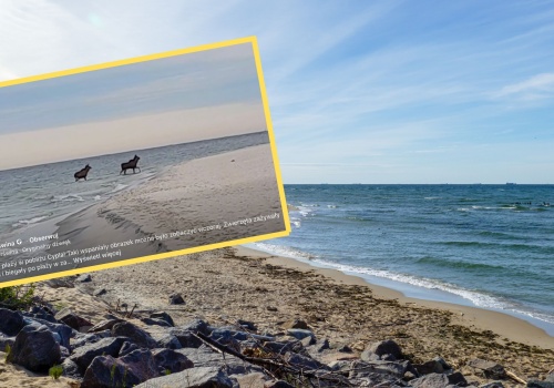 Pokazali nagranie z Helu. 