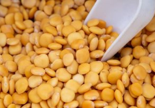 Mylisz go z chwastem, a to polska bomba białkowa. Zapomnij o soi i ciecierzycy