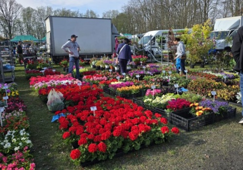 Rekord frekwencji podczas XIX targów „Pamiętajmy o ogrodach”