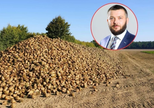 Ponad 1,5 mln ton cukru zaleje UE. Rolnicy alarmują: to zagrożenie dla buraka