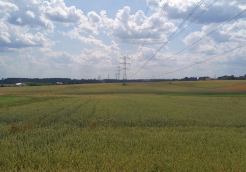 KOWR chce wydzierżawić ponad 100 hektarów na Mazurach. Większość to grunty orne