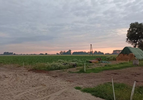 Opłacalność w dół, inwestycje w górę. Co pokazują nowe dane z gospodarstw?