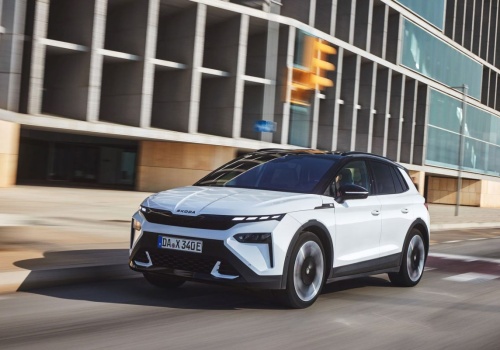 Tak wygląda początek roku na polskim rynku. Cieszy się zwłaszcza jeden koncern motoryzacyjny