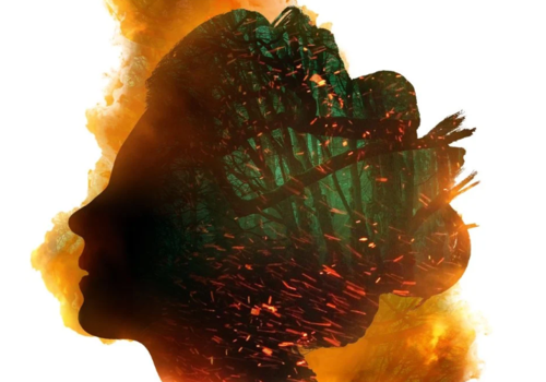 Cykl Klątwa przodków w drodze na mały ekran. Hulu pracuje nad serialową adaptacją powieści