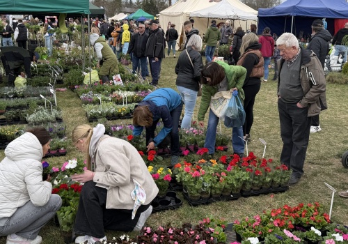 Kwiaty, krzewy i rekord frekwencji. Lubań pełen ogrodników