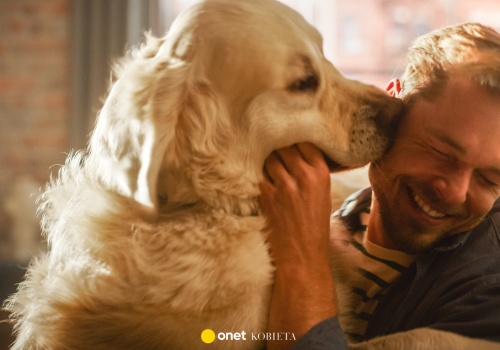 Jak rozpoznać, że pies cię kocha? Ekspertka wyjaśnia, na co zwrócić uwagę