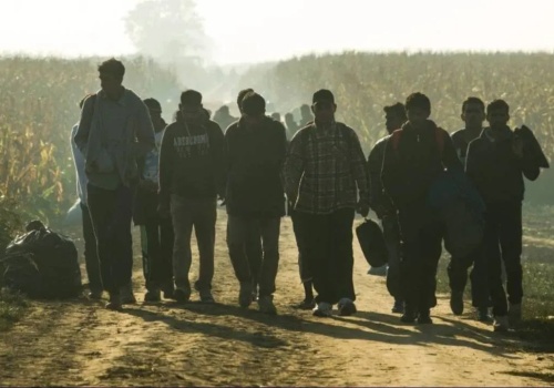 Niemcy wciąż podrzucają nam migrantów? Bąkiewicz pokazał nagranie z granicy