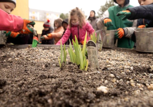 Ogrody deszczowe wracają do Metropolii. Ruszył program GZM 2026 – także w Katowicach