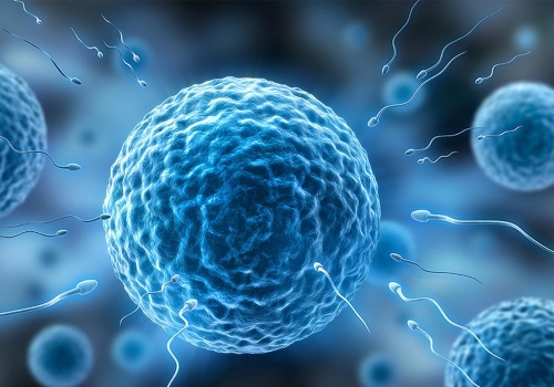 Jak działają jajniki i jądra?