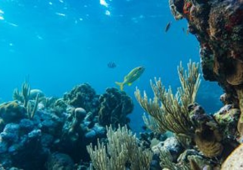 Ukryte źródło metanu w oceanie. Ta zagadka trapiła naukowców