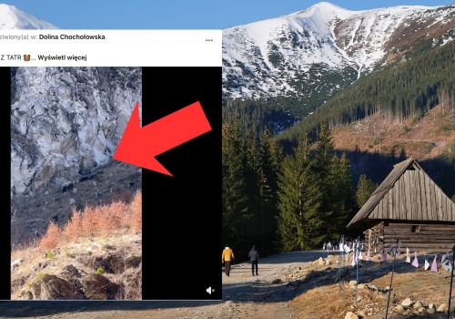 Spacerowali po Dolinie Chochołowskiej. Aż chwycili za telefon. 