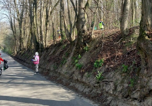„Sprzątanie Gminy z ZZOK-iem”: Mieszkańcy ruszyli porządkować swoje okolice