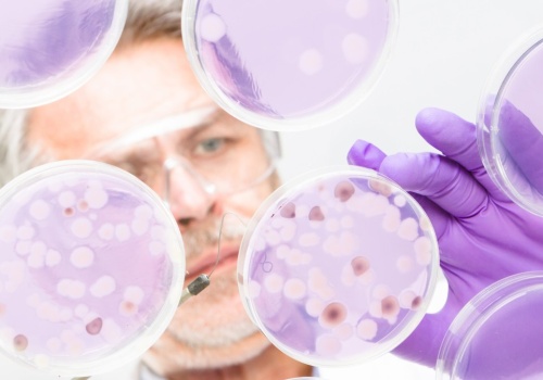 Ukryta broń do walki z rosnącym zagrożeniem? Odkrycie może zmienić świat