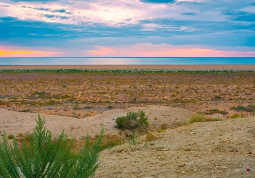 Prawie zniknęło, ale się odradza. To przełom po 20 latach