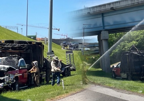 Milion pszczół na autostradzie po wypadku ciężarówki