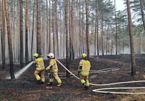 Pożar lasu. 10 jednostek walczyło z ogniem (ZDJĘCIA)