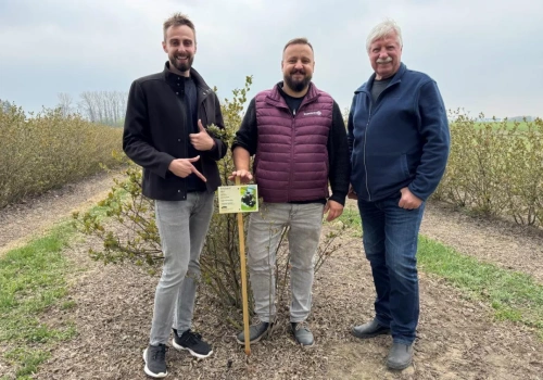 Droższe nawozy i susza? Próchnica w glebie daje roślinom większy zapas wilgoci i pokarmu