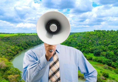 Niebezpieczne mrówki po raz pierwszy w Niemczech. Ich użądlenie zagraża życiu