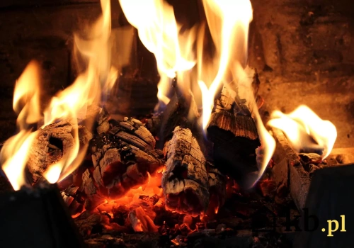 To drewno nie brudzi szyby. Kominiarze polecają