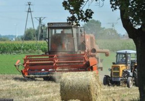 Miastowi na wsi. Mieszkańcy będą musieli być świadomi