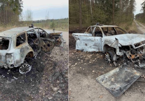 Zagadka spalonego wraku rozwiązana. Kierowca audi wjechał do lasu na podwójnym gazie