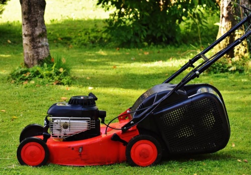 Kosił trawę i znalazł fortunę w złocie. Szokujący finał sprawy w Niemczech