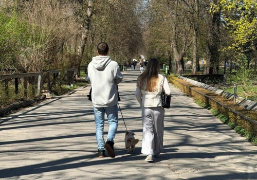 Przemycają psy do Warszawskiego ZOO. Niektórzy idą na całość i podają je bliskim przez ogrodzenie. To zakazane