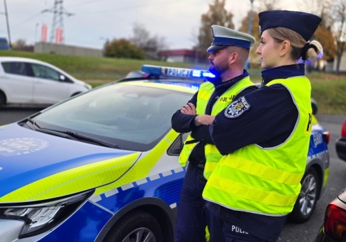 Wrocławscy policjanci odkryli dziuplę pojazdów kradzionych w Niemczech