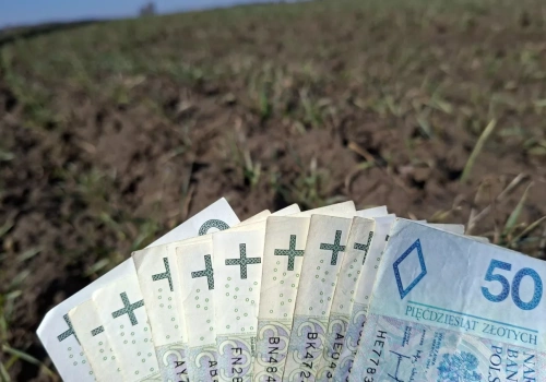 Grunty wyłączone z produkcji: kto dostanie wyższe dopłaty w 2026 roku?