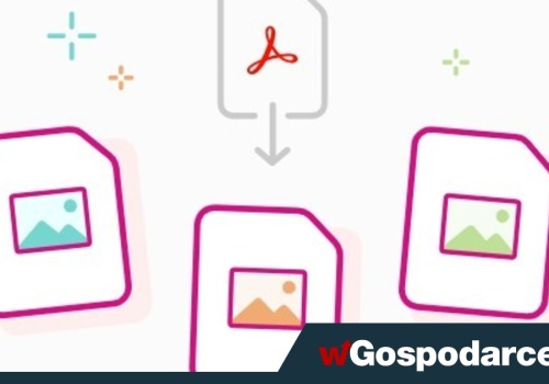 Zamiana PDF w treści wizualne - co działa najlepiej