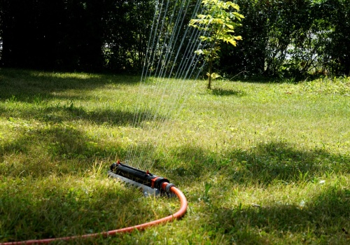 Urządzamy teren wokół domu