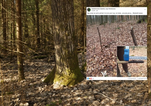 Leśnicy pokazali zdjęcie i apelują. 