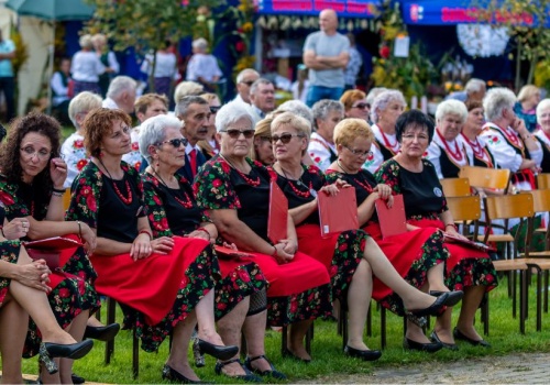 KGW w programie Aktywna Wieś bez ograniczeń
