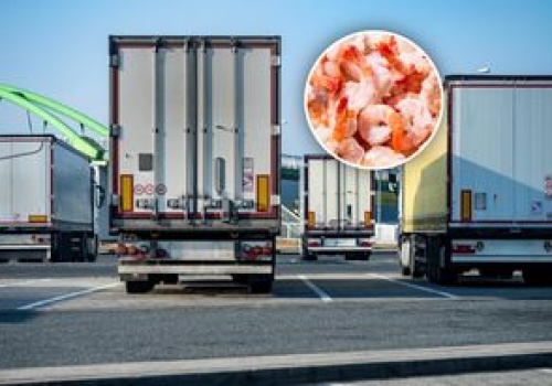 Transport z Indii zatrzymany. To miało trafić do sprzedaży w Polsce